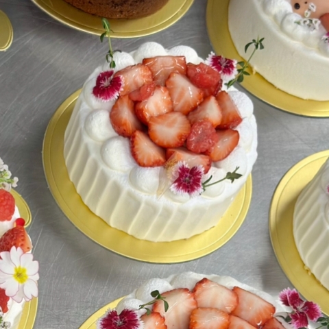 �A�j�o�[�T���[�P�[�L